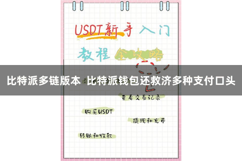 比特派多链版本  比特派钱包还救济多种支付口头