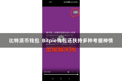 比特派币钱包 Bitpie钱包还扶持多种考据神情
