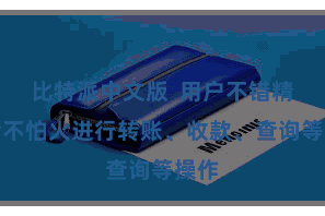 比特派中文版  用户不错精真金不怕火进行转账、收款、查询等操作
