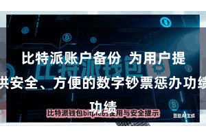 比特派账户备份  为用户提供安全、方便的数字钞票惩办功绩
