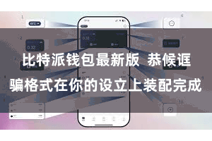 比特派钱包最新版  恭候诓骗格式在你的设立上装配完成