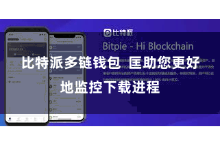 比特派多链钱包  匡助您更好地监控下载进程