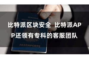 比特派区块安全  比特派APP还领有专科的客服团队