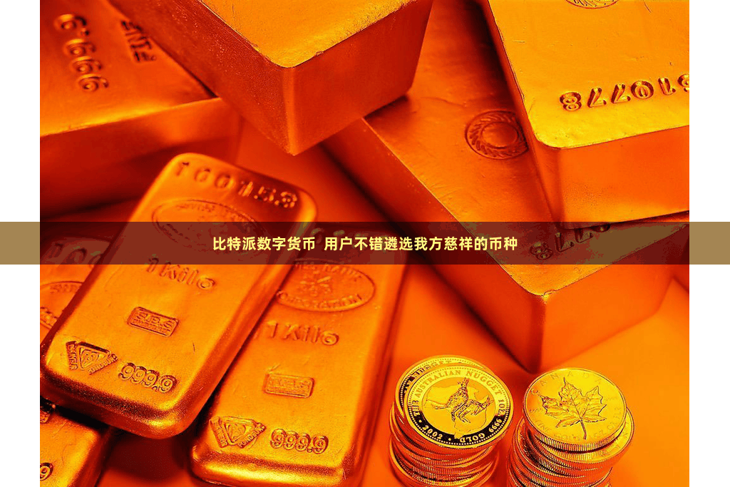 比特派数字货币  用户不错遴选我方慈祥的币种