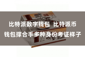 比特派数字钱包  比特派币钱包撑合手多种身份考证样子