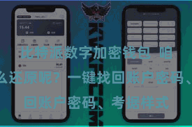 比特派数字加密钱包  咱们应该怎么还原呢？一键找回账户密码、考据样式