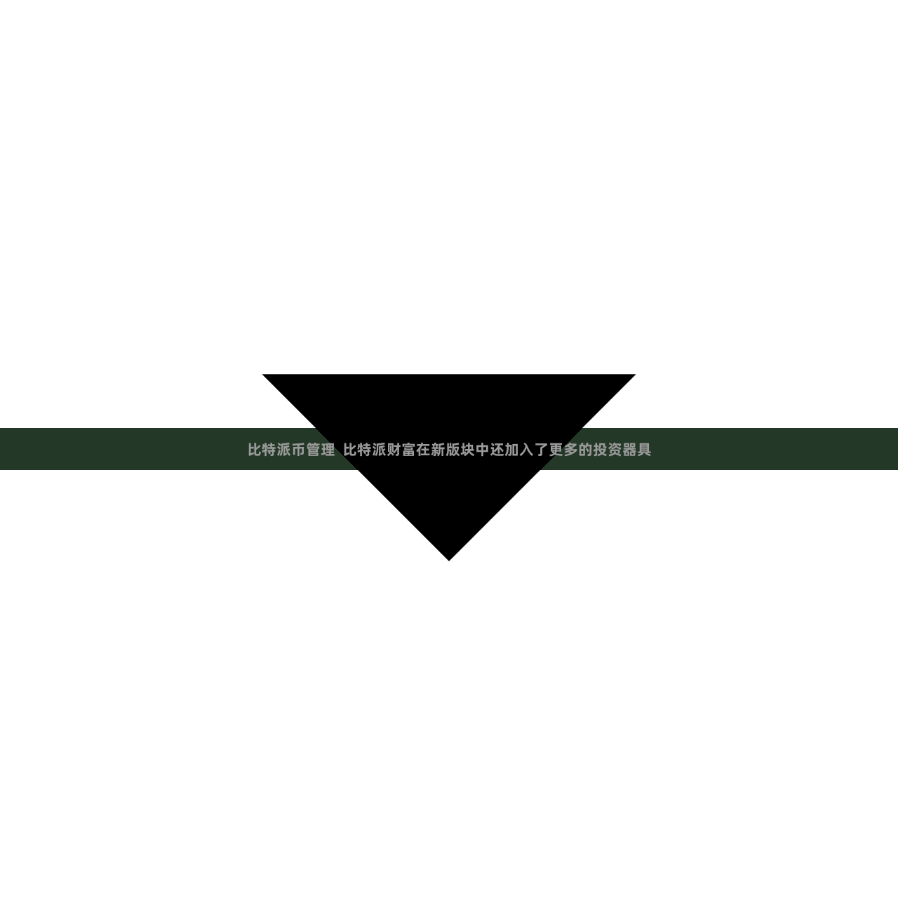 比特派币管理  比特派财富在新版块中还加入了更多的投资器具